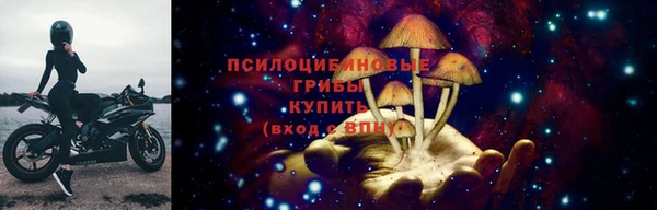 синтетический гашиш Богородицк