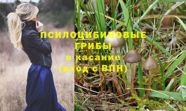 синтетический гашиш Богородицк