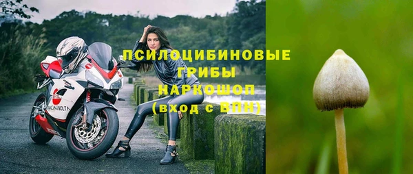 прущая мука Богородск